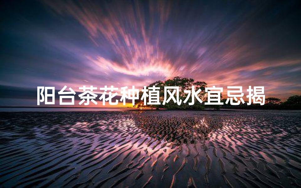 阳台茶花种植风水宜忌揭秘