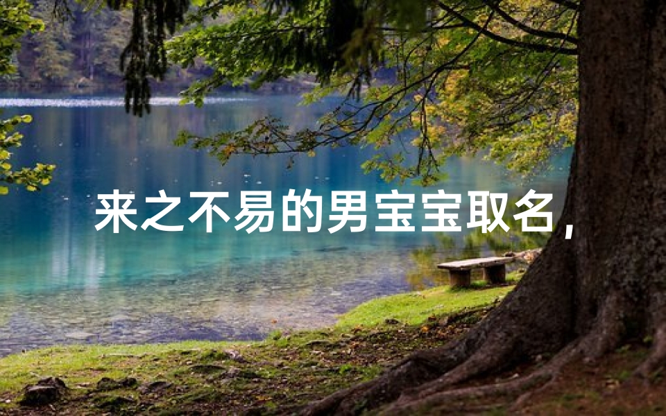 来之不易的男宝宝取名,如何为珍贵的孩子选择寓意美好的名字