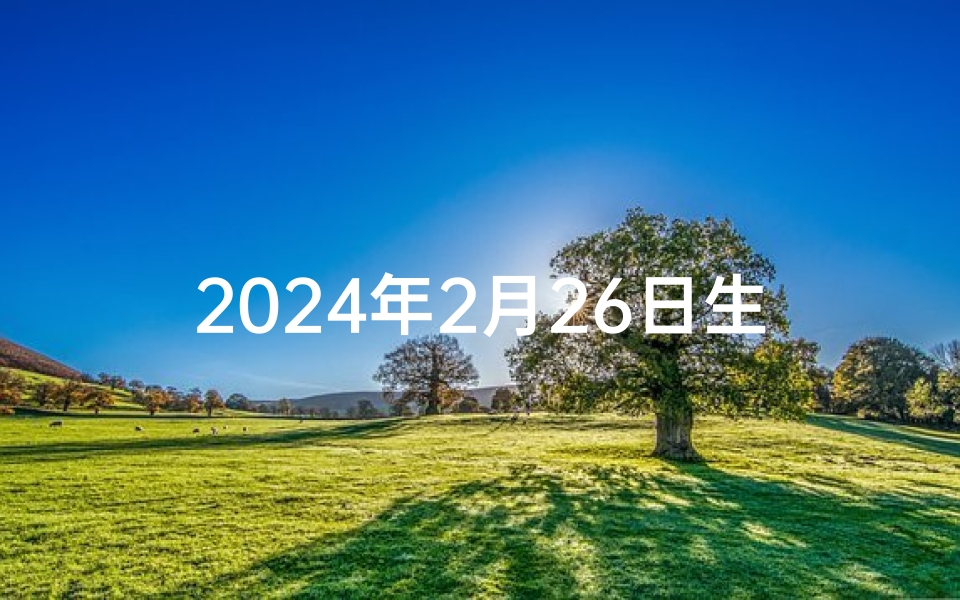 2024年2月26日生肖兔运势:兔年好运连连,吉星高照