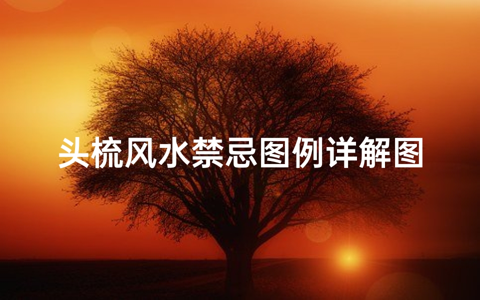 头梳风水禁忌图例详解图片(卧室在东南方风水应该怎么改)