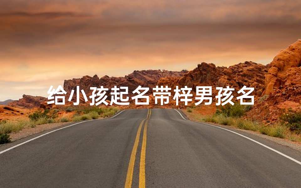 给小孩起名带梓男孩名
