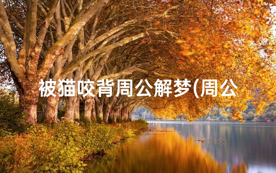 被猫咬背周公解梦(周公解梦梦见被猫咬)