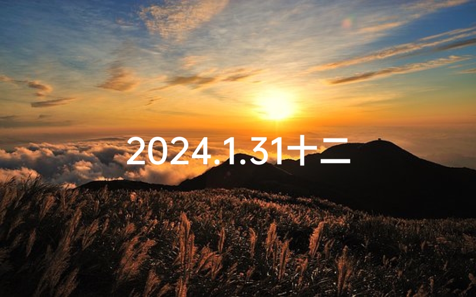 2024.1.31十二生肖运势-《2024年1月31日生肖运势大揭秘》