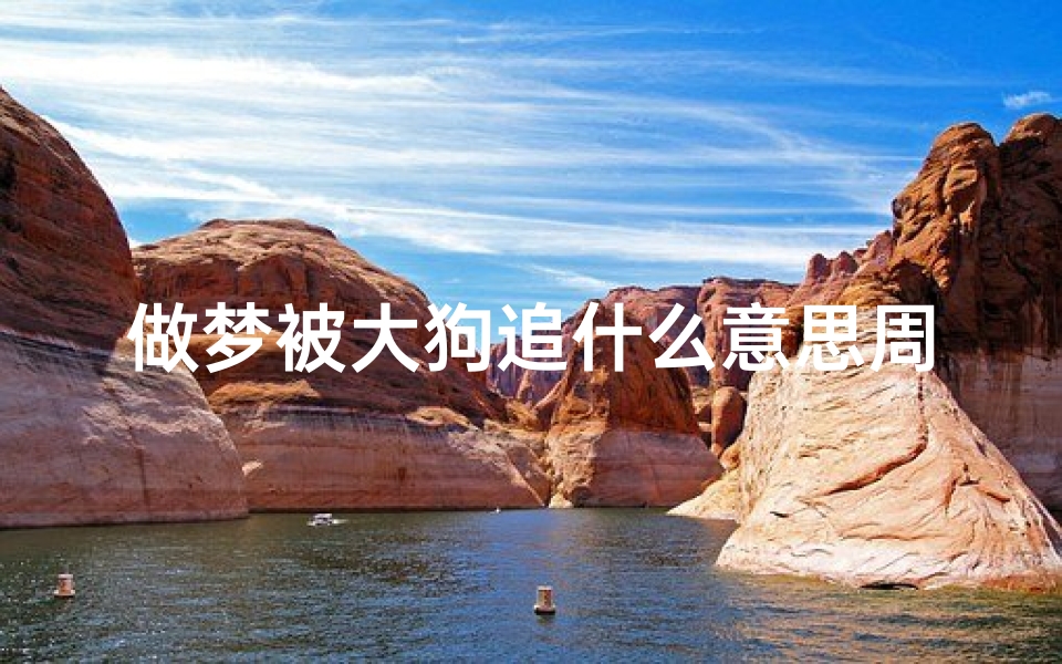 做梦被大狗追什么意思周公解梦(昨晚梦到被狗追,求解 )