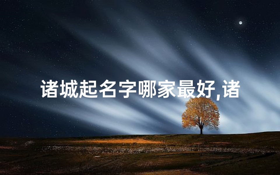 诸城起名字哪家最好,诸城宝宝取名:探寻最适合孩子的好名字