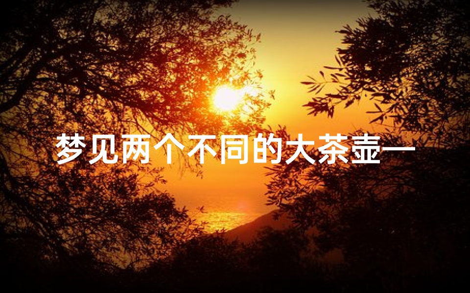 梦见两个不同的大茶壶—梦见两个不同的大茶壶什么预兆