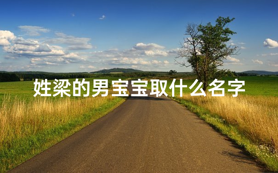 姓梁的男宝宝取什么名字好(《梁氏龙宝宝,吉祥如意好名字》)
