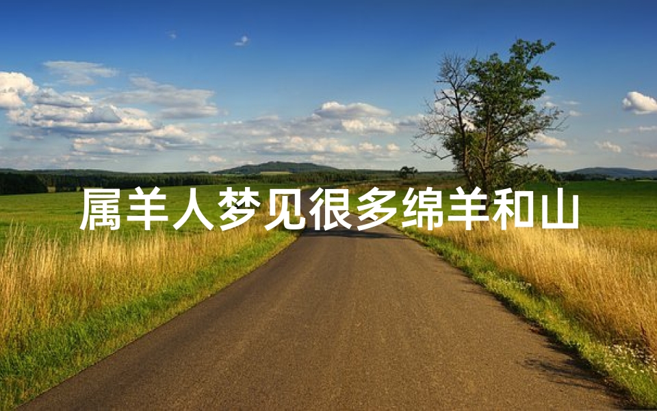 属羊人梦见很多绵羊和山羊_梦见满山的绵羊