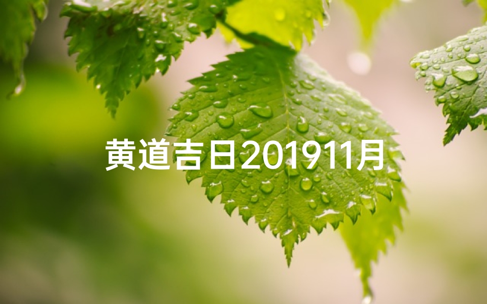 黄道吉日201911月(黄道吉日查询201911月)