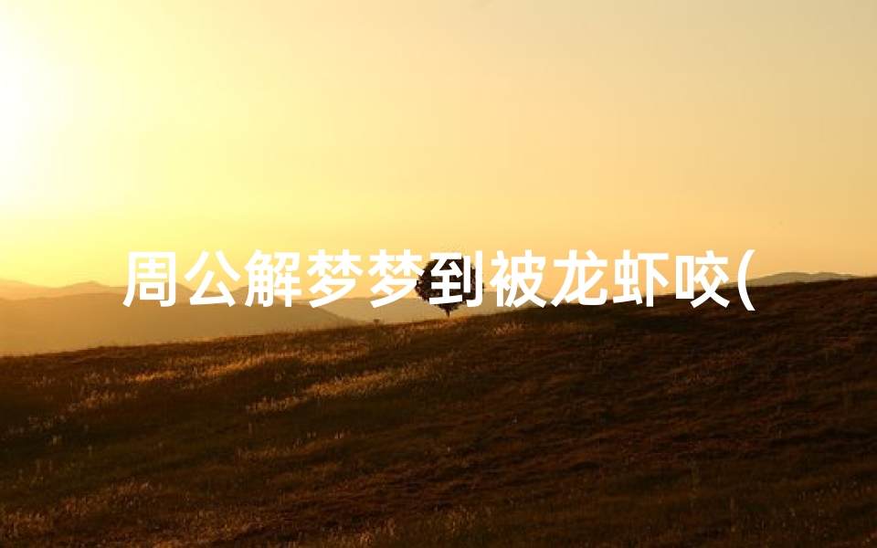 周公解梦梦到被龙虾咬(梦见自己抓龙虾被龙虾咬大腿了,腿很痛)