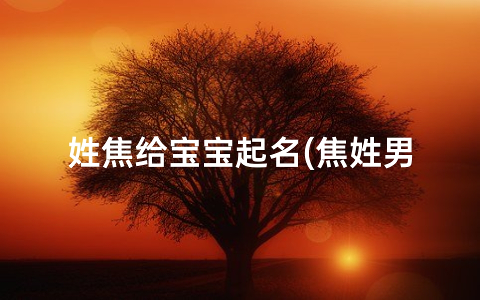 姓焦给宝宝起名(焦姓男孩聪明智慧有底蕴名字)