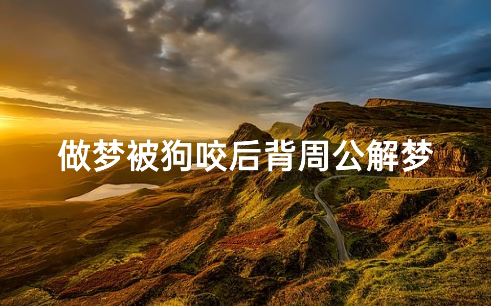做梦被狗咬后背周公解梦(梦见狗咬后背)
