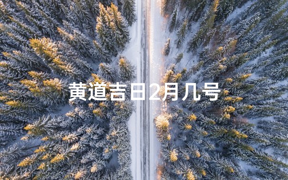 黄道吉日2月几号