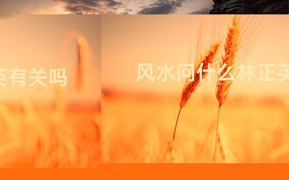 风水问什么林正英有关吗-林正英看风水话术