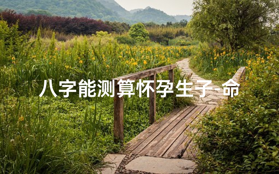 八字能测算怀孕生子-命理与生育解析