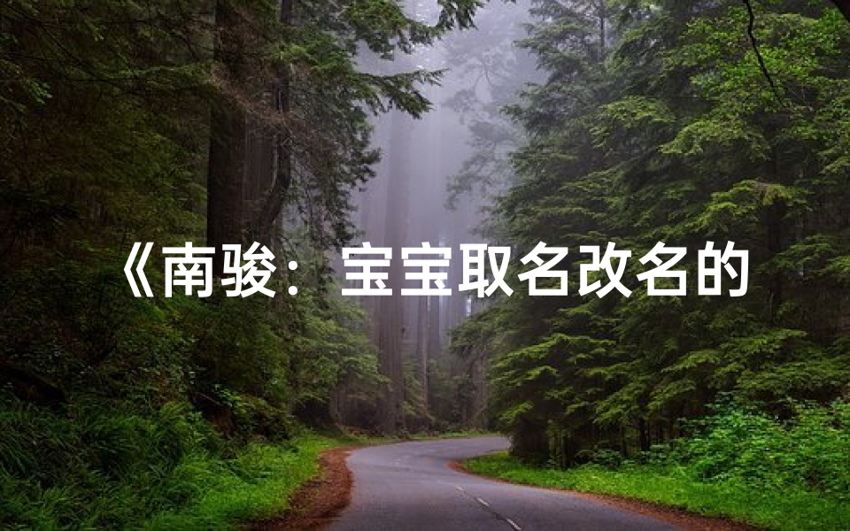 《南骏:宝宝取名改名的温馨之旅》