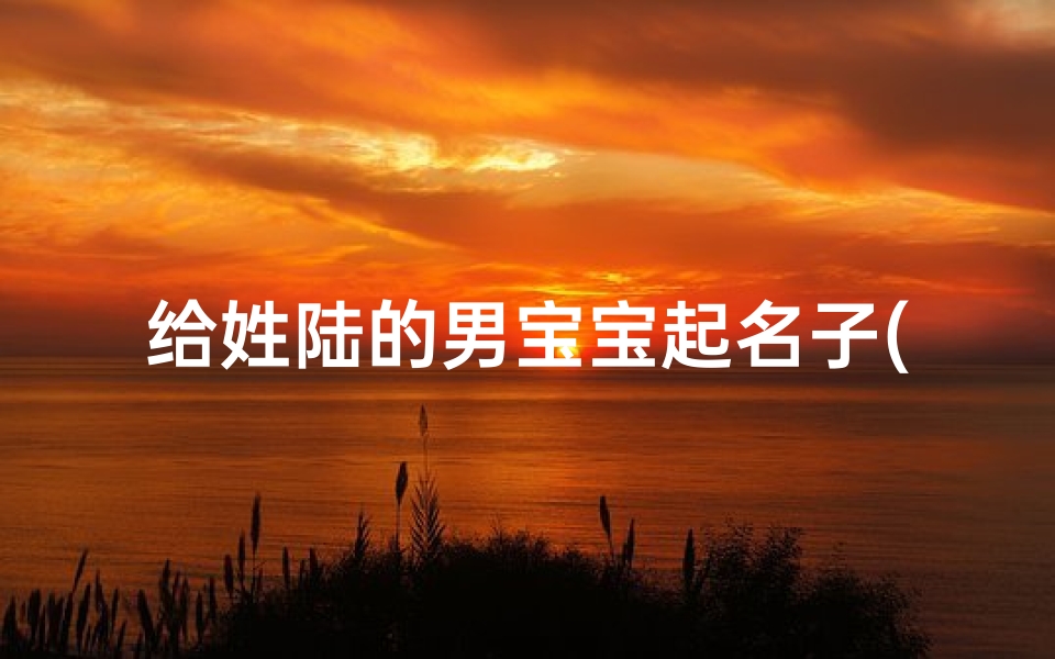 给姓陆的男宝宝起名子(姓陆的男孩名字大全)