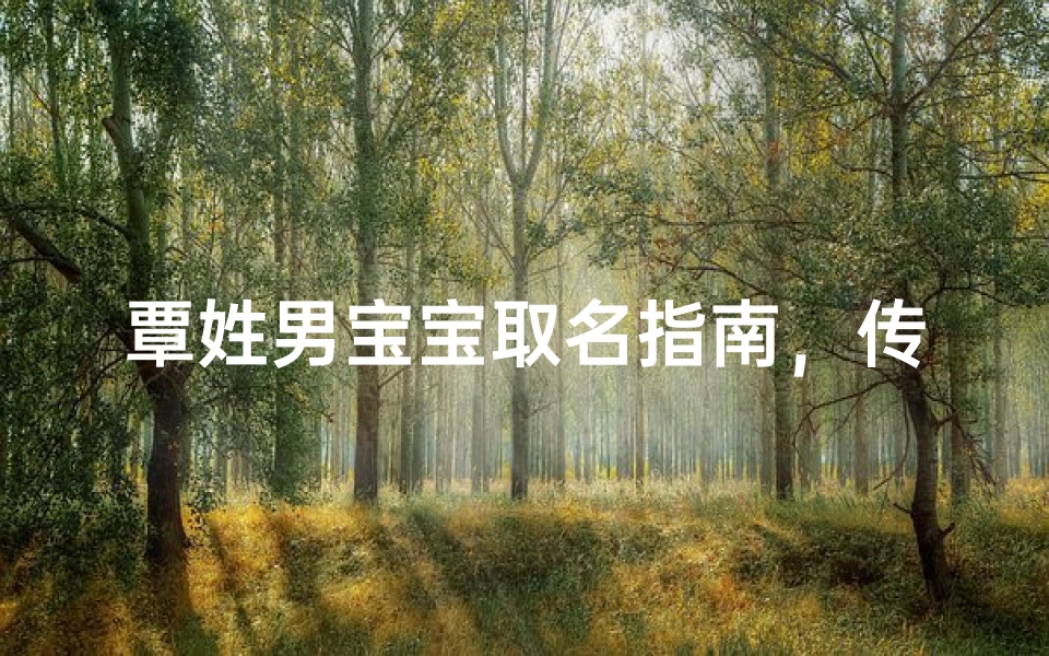 覃姓男宝宝取名指南,传承文化寓意深远