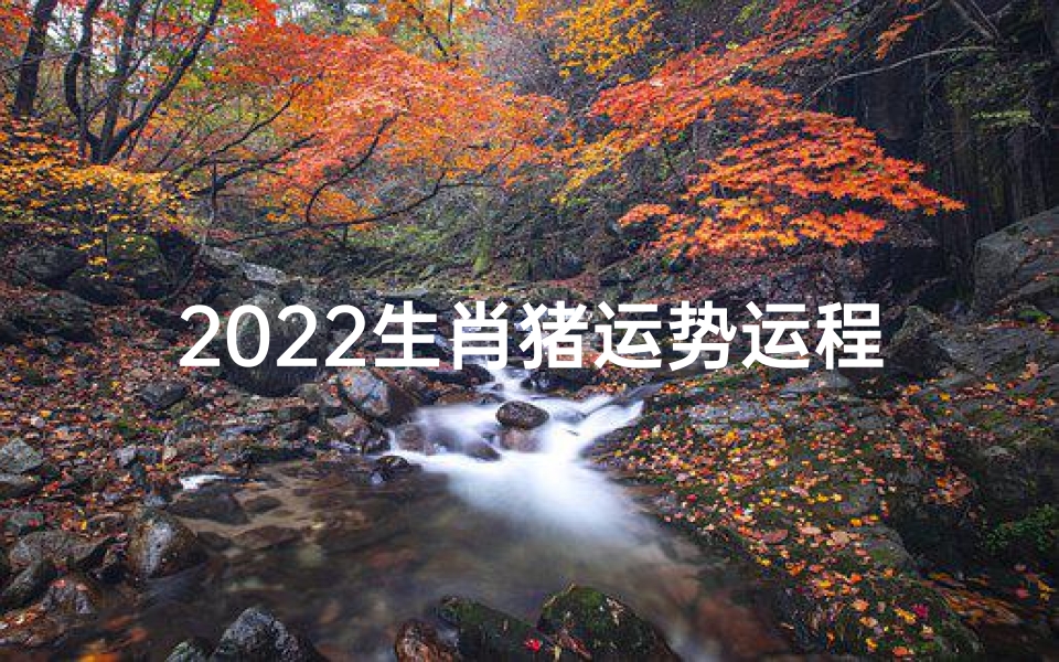 2022生肖猪运势运程(2022年生肖猪运势)