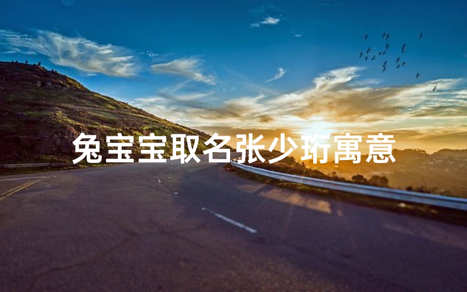 兔宝宝取名张少珩寓意