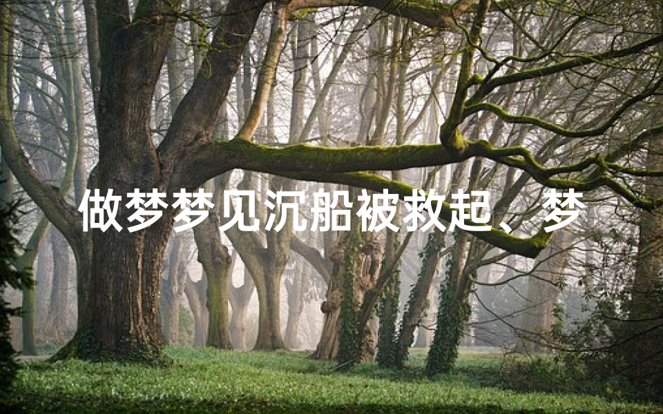 做梦梦见沉船被救起、梦见沉船得救