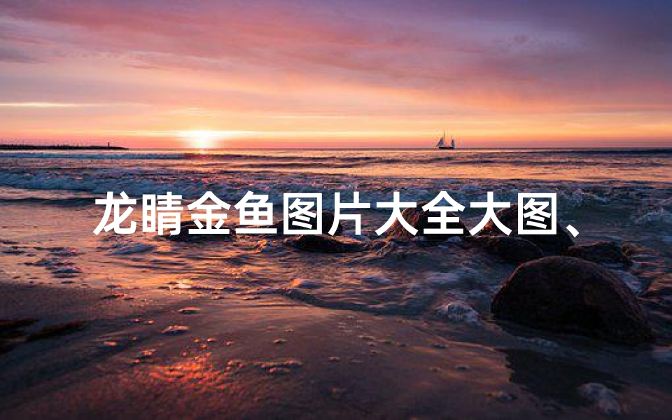 龙睛金鱼图片大全大图、龙睛金鱼:风水鱼之谜,家居风水新宠
