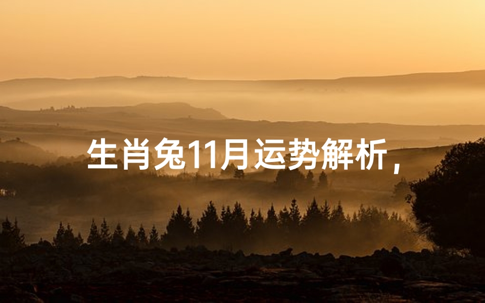 生肖兔11月运势解析,机遇与挑战并存的智慧之月
