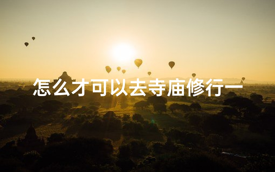 怎么才可以去寺庙修行一段时间—《普通人修行之路:走进寺庙的宁静生活》