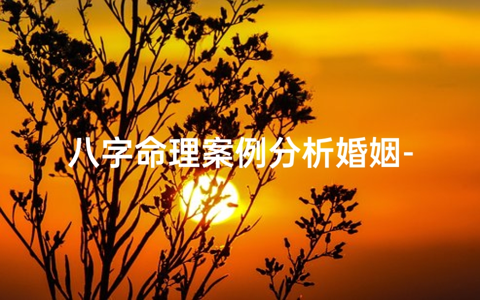 八字命理案例分析婚姻-八字测婚姻案例