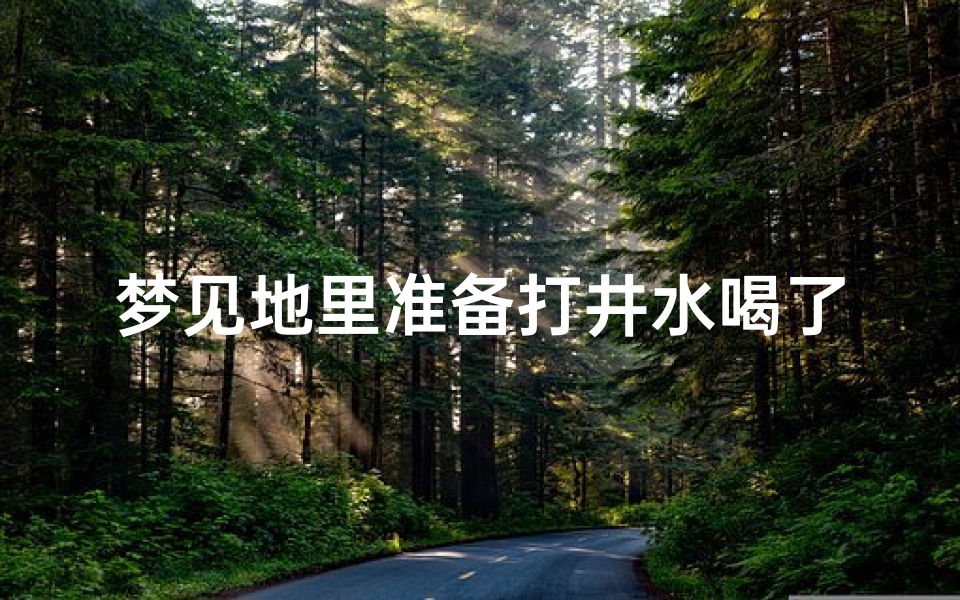 梦见地里准备打井水喝了—梦见自己去打井水喝