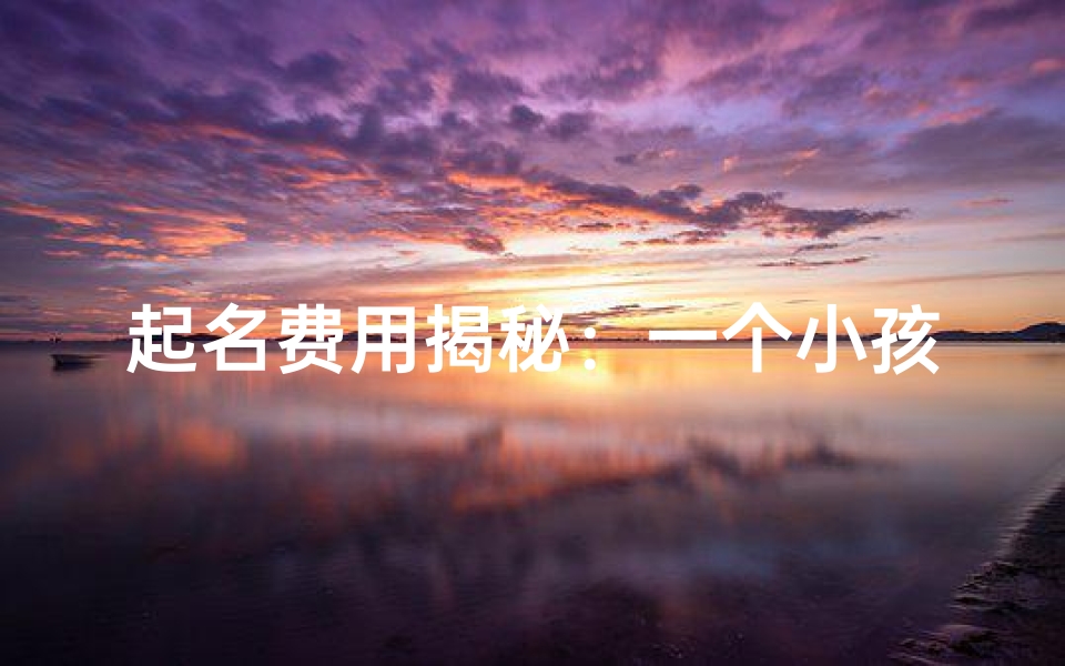 起名费用揭秘:一个小孩名字值多少钱?