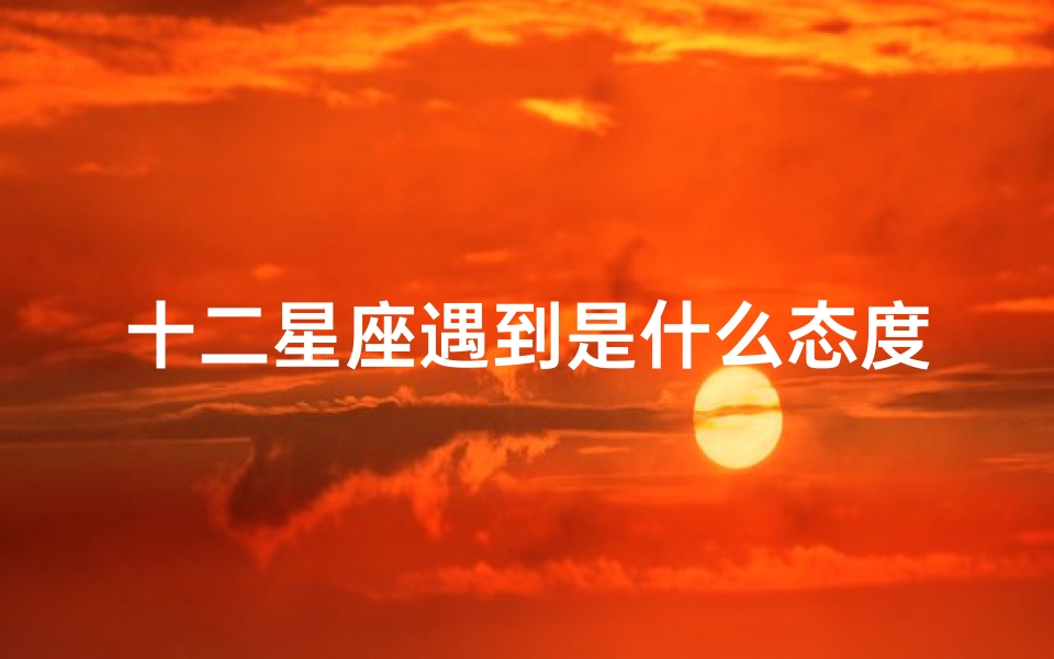 十二星座遇到是什么态度(十二星座遇到对的人第一感觉是什么 )
