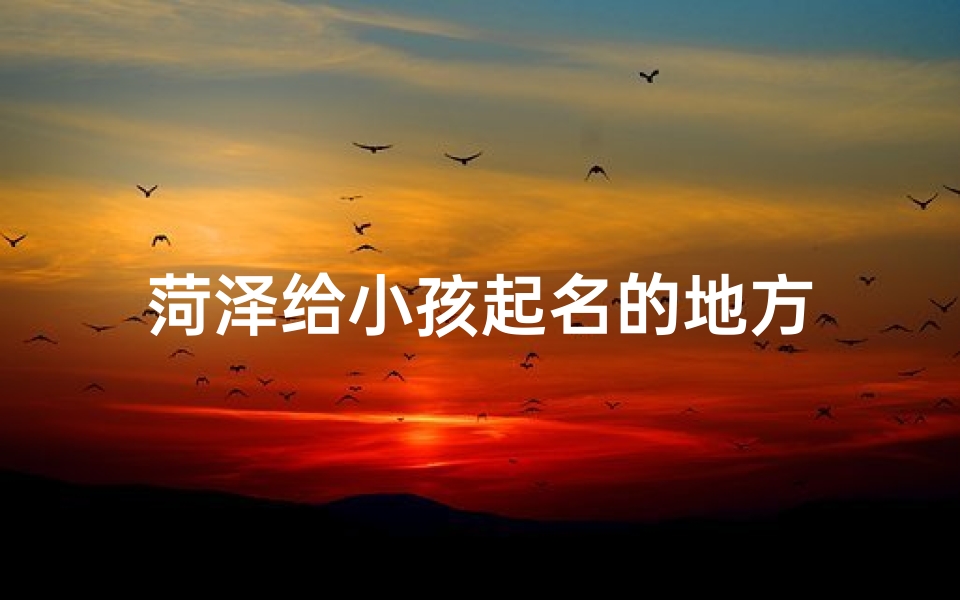 菏泽给小孩起名的地方