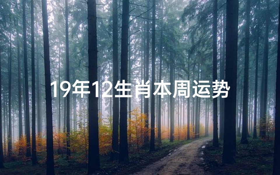 19年12生肖本周运势_2019年12生肖运势解析