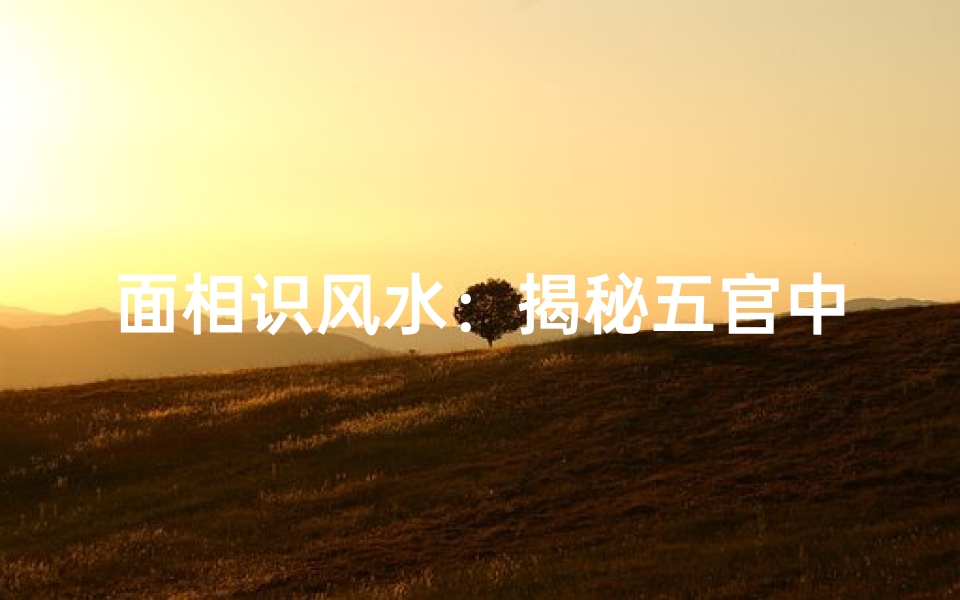 面相识风水:揭秘五官中的风水奥秘