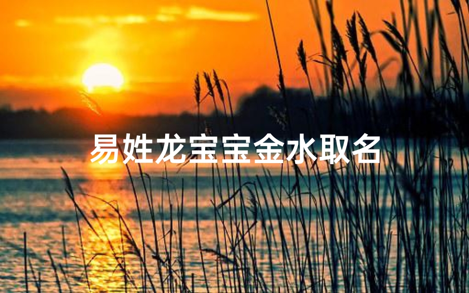 易姓龙宝宝金水取名