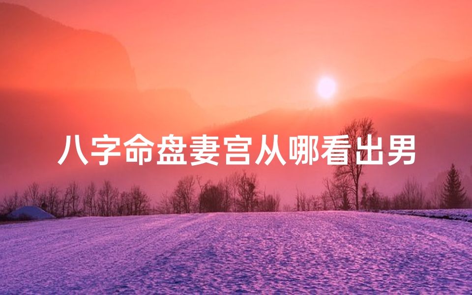 八字命盘妻宫从哪看出男命;八字命盘揭秘:妻宫如何彰显男命中心地位