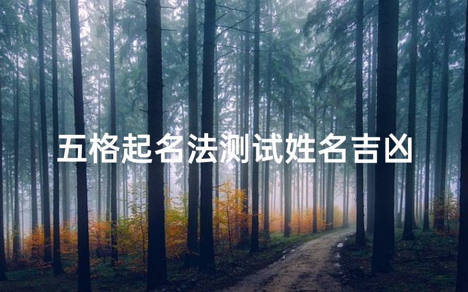 五格起名法测试姓名吉凶(名字匹配测试打分)