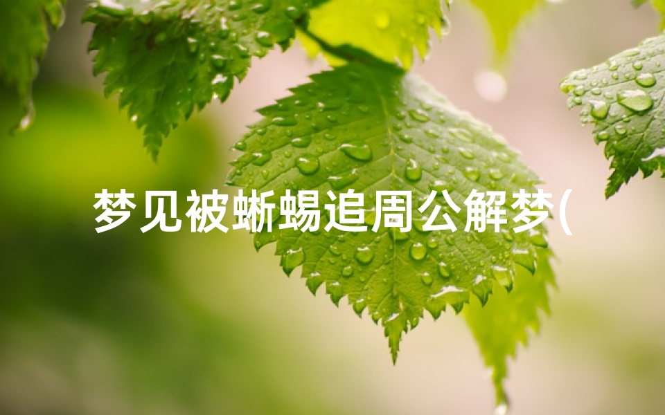 梦见被蜥蜴追周公解梦(梦见蜥蜴是什么意义)