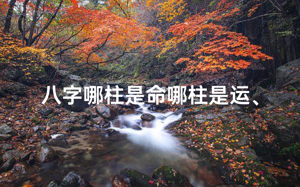 八字哪柱是命哪柱是运、八字算命哪柱最重要-海瑞算卦网