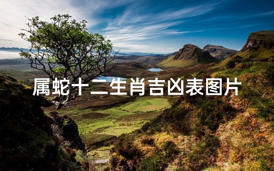 属蛇十二生肖吉凶表图片(属蛇的幸运数字是几)