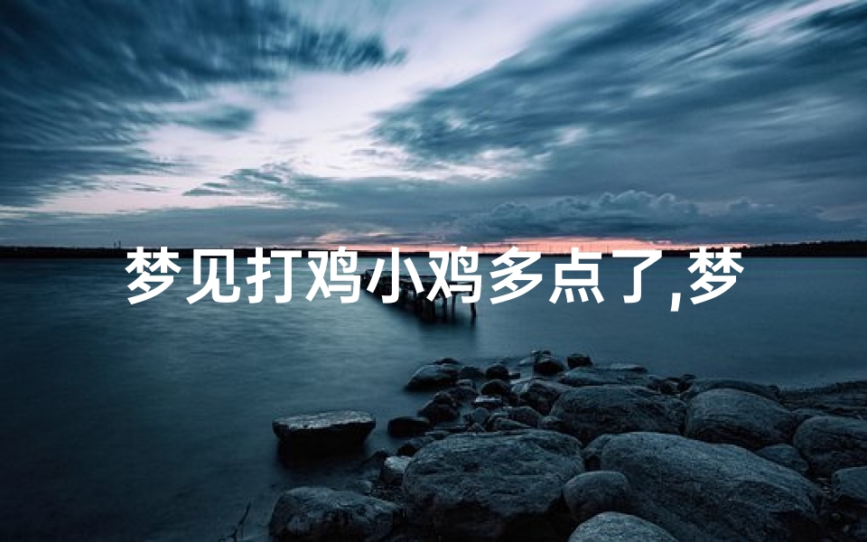 梦见打鸡小鸡多点了,梦见打鸡小鸡多点了一只