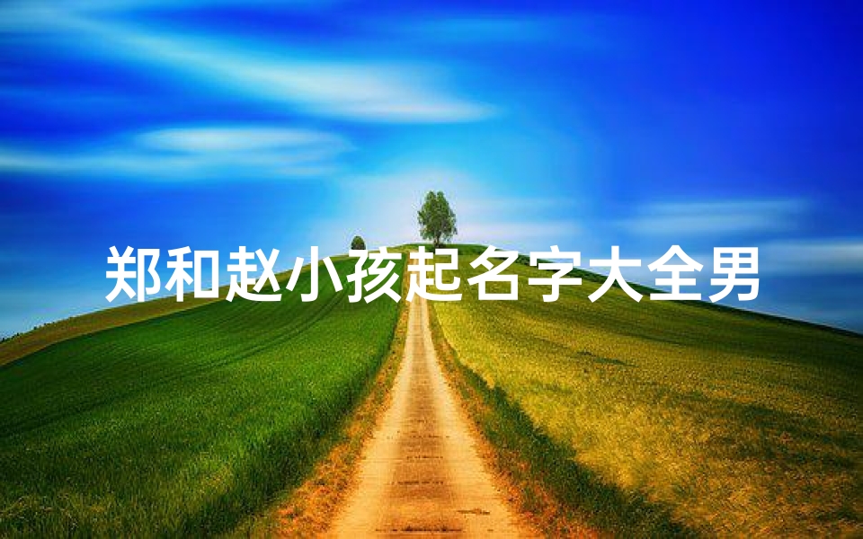 郑和赵小孩起名字大全男孩、《郑赵小孩起名大全:男孩名字精选集》