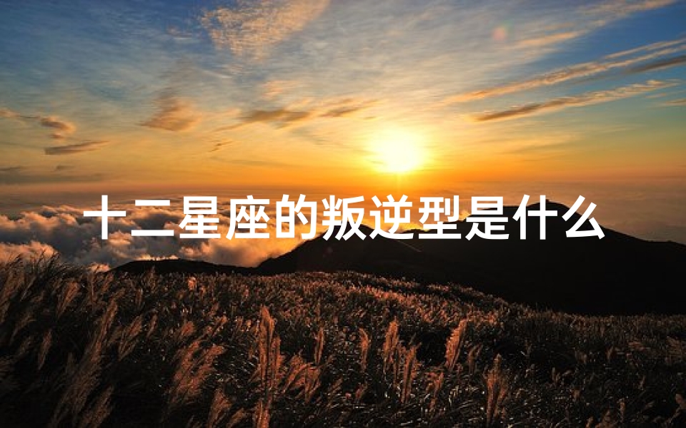 十二星座的叛逆型是什么(十二星座中,什么星座在青春期的时候最叛逆 )