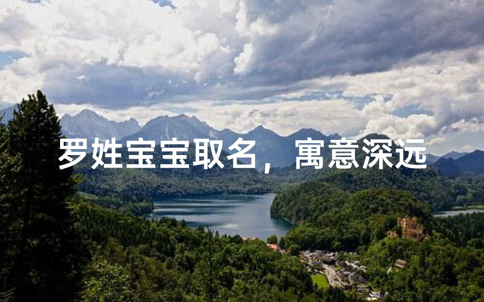 罗姓宝宝取名,寓意深远的命名艺术解析