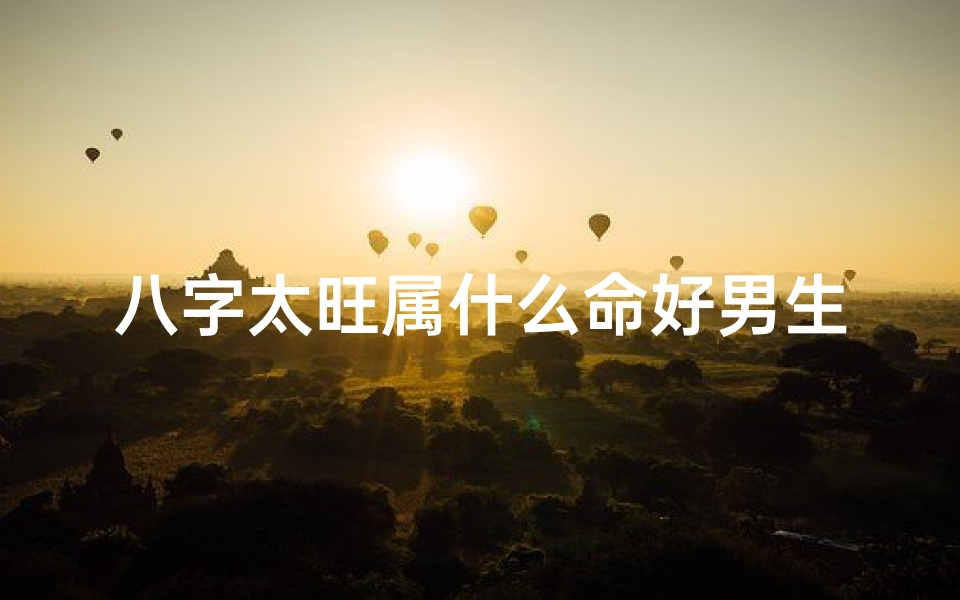 八字太旺属什么命好男生:揭秘最佳命理搭配
