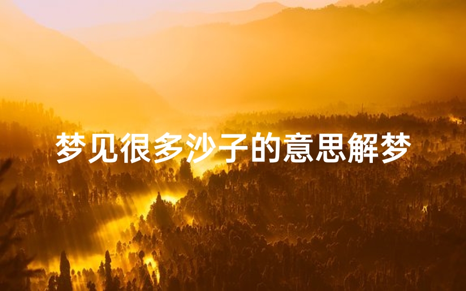 梦见很多沙子的意思解梦;梦见很多堆沙子