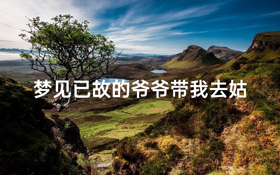 梦见已故的爷爷带我去姑姑家(梦到已故的爷爷带我回家)
