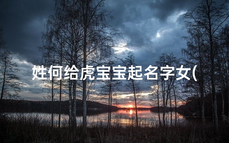 姓何给虎宝宝起名字女(姓何好听稀少的名字虎宝宝活泼俊俏的孩子起名)