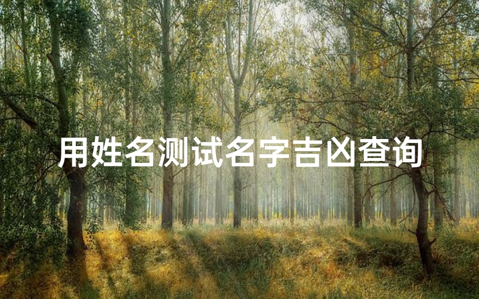 用姓名测试名字吉凶查询(名字测试打分)